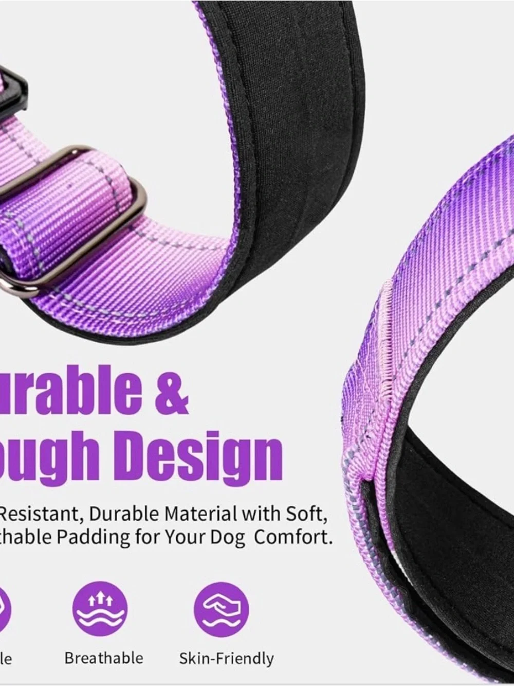 Reflective Purple Dog Collar for Night Walking